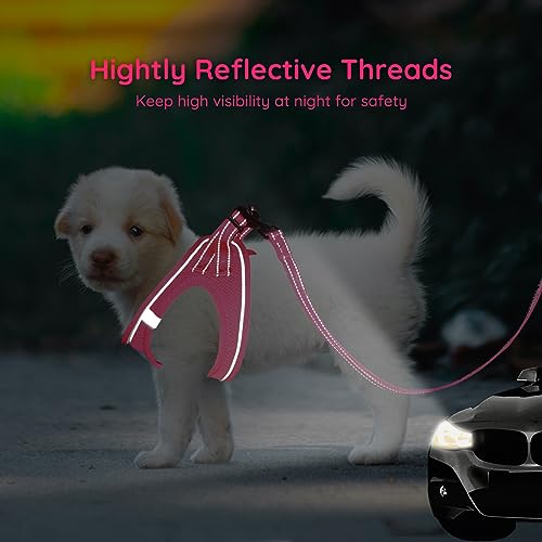 BELLA & PAL Dog Vest Harness for Small Medium Dogs, No Pull Dog Harness for Small Dogs with Leash,Comfortable Air Mesh Dog Harness with Reflective Strip(Hot Pink,XXS)