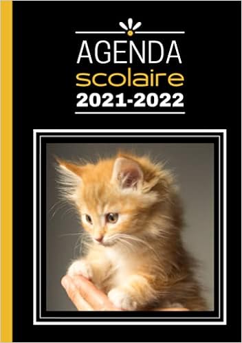 Amazon Com Agenda Scolaire A5 Chat Chaton Animaux Agenda En Francais Journalier Quotidien Noir Et Gold Agenda Chat Chaton 21 22 French Edition Julie Animaux Libros