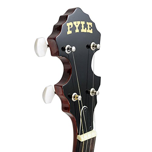 2 5+String+Banjo+White+Rosewood+Fretboard