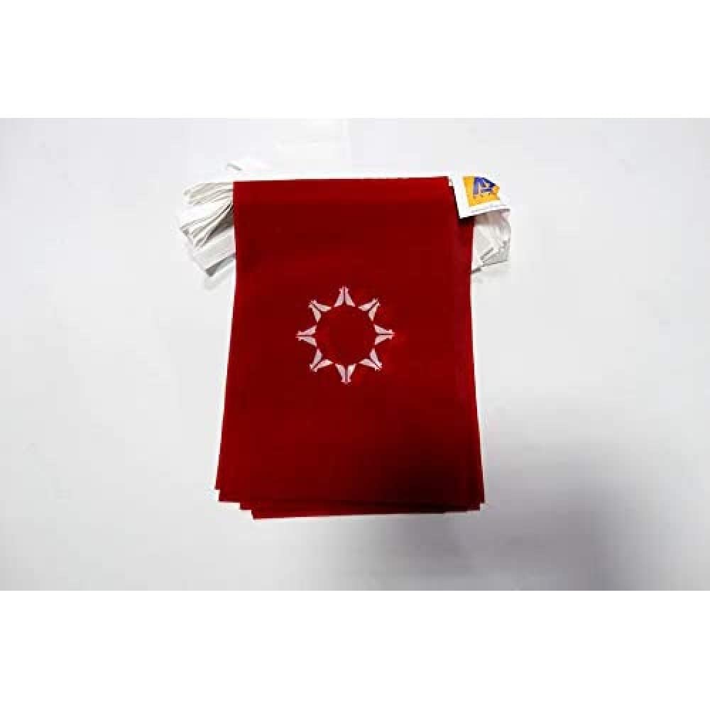 AZ FLAG Oglala Sioux Tribe Bunting Flag, 20 Ft Garland 20 Small Oglala Lakota Flags 8'' x 6'', 100% Polyester String Pennant, 6 meters