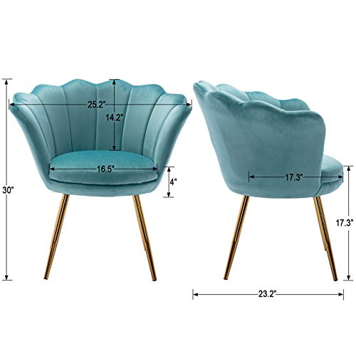 HNY Comfy Desk Chair no Wheels, Velvet Upholstered Accent Chair, Vanity