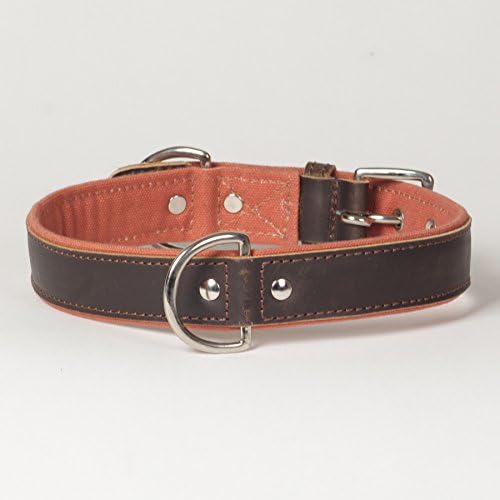 Tough Stuff Canvas Leather Trim Sierra Dog Collar