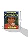 Hamsters (All about Pets)