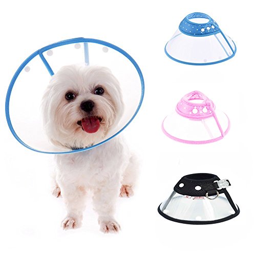 adjustable dog cone