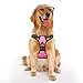 PoyPet No Pull Dog Harness, No Choke Front Clip Dog Reflective Harness, Adjustable Soft Padded Pet Vest with Easy Control Handle for Small to Large Dogs(Pink,L)