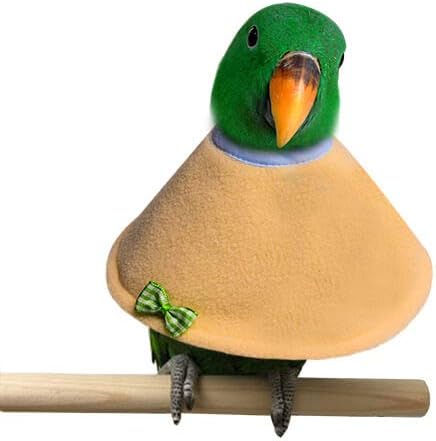 bird elizabethan collar