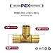 Supply Giant QYUF0012-10 PEX Barb Tee Pipe Fittings, 1/2