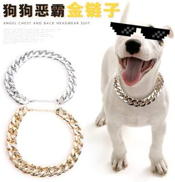 kakakooo Bully gold chain Dog Collar Lead Durable Outdoor Pet Collar For Teddy Law dog For Small Medium dog (Gold)