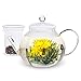 Teabloom Glass Teapot & Glass Infuser Set - Holds 6-8 Cups – Best for Loose Leaf Tea or Blooming Tea – 2 Tea Flowers Included