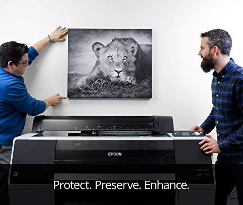 Timeless Archival Print Varnish - 1 Gallon, Matte Finish, Highest Quality Canvas Coating, Water Based UV Protection, No Glare Finish, 100+ Years Certified Archival