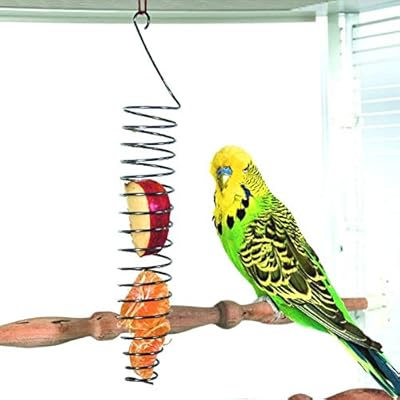 Amazon Com Verbena Hot Bird Feeding Stainless Steel Parrot