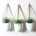 Jyukan Ceramic Hanging Planters for Indoor Air Plants Succulent Wall Planter Decor, Hanging Plant Pots Set of 3thumb 4