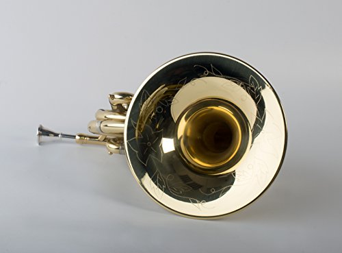 Tempest Agility Winds Mini Pocket French Horn in Bb 3 Rotary Valves Engraved Lacquered Brass with Case and Mouthpiece 5-Year Warranty