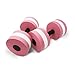 ZEYU SPORTS Aquatic Exercise Dumbbells - Set of 2 - for Water Aerobics(Pink)