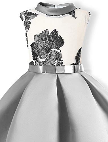 AYOMIS Flower Girl Pageant Dress Kids Party Embroidery Wedding Dresses 2-9 Years(Silver,5-6Y)