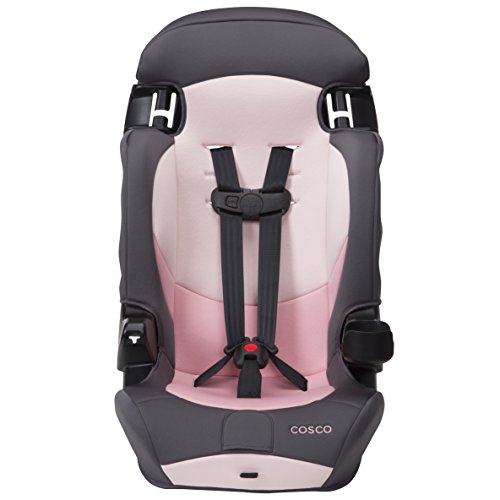 Cosco Kids Finale DX 2-in-1 Booster Car Seat, Forward Facing Toddler Car  Seat (30-65 lbs) and Belt Positioning