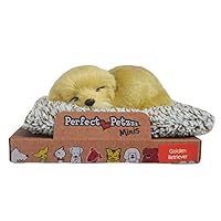 Perfect Petzzz Mini Baby Golden Retriever Puppy Dog