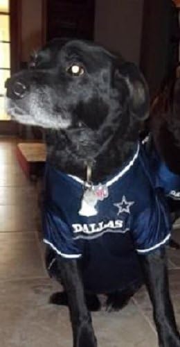 dallas cowboys puppy clothes
