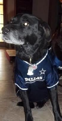 dallas cowboys pet jersey
