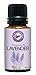 Creation Pharm Lavender Oil 15ml - Essential Therapeutic Aromatherapy 100% Pure Premium Distilled - aceite esencial puro - Best Aroma Gift for Relaxation Meditation Stress