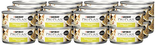 Purina Pro Plan Pate Wet Cat Food, Turkey & Giblets Entree - (24) 5.5 oz. Cans - //medicalbooks.filipinodoctors.org