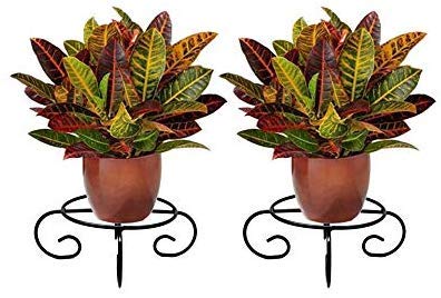 Rise Corp Metal Flower Pot Stand - 4 Leg, Plant Shelf/Display Floor Stand for Living Room/Garden/Balcony Decor (Black, Size: 20 X 20 X 10 cm) Pack of 2