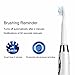 Electric Toothbrush Rechargeable Sonic Toothbrush with Replacement Heads 3 Brushing Modes 35000 Power Achieve Whiter Healthier Teeth Waterproof White by KIPOZI