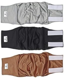 wegreeco belly bands