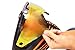 Virtue VIO Replacement Paintball Goggle Lens - Fits Ascend/Contour/Extend and XS Masks - Thermal High Contrast Yellow