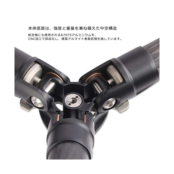 LEOFOTO Carbon-Dreibeinstativ LS-223C Ranger + Ballhead EB-36 – Bild 6
