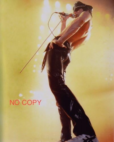 Freddie Mercury, Photo 8x10, #387