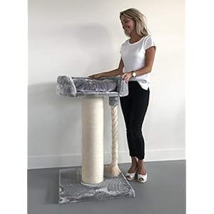 Tiragraffi per gatti grandi xxl Chartreux Grigio Chiaro maine coon robusto adulti grande gatto albero enormi giganti XL