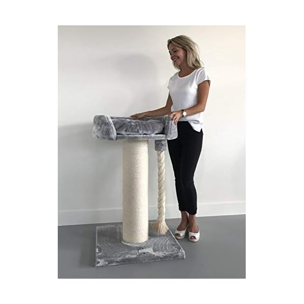 Tiragraffi per gatti grandi xxl Chartreux Grigio Chiaro maine coon robusto adulti grande gatto albero enormi giganti XL