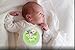 PAMBO Monthly Baby Stickers | Waterproof Milestone Newborn Boys & Girls Flower Stickers | Perfect for Celebrations/Photo Keepsake | 16in1