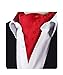 MENDENG Men's Red Floral Paisley Jacquard Woven Silk Cravat Necktie Scarf Ascot