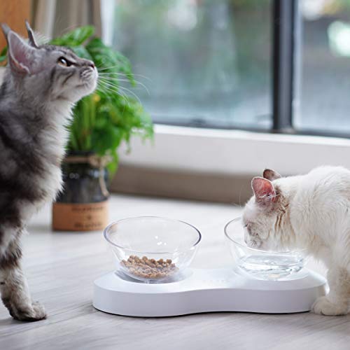 ELSPET Raised Cat Dog Bowl/Cat Dish/Elevated Cat Food Water Bowl, 0°/20° Tilted Transparent Raised Pet Feeding Bowl with Anti-Slip Base for Cat and Small Dog (Cat Single Bowl/Cat Double Bowls)
