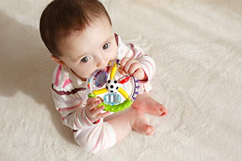 Sassy Wonder Wheel Ring Rattle - Thumbnail 7