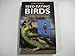 Seed-Eating Birds: Their Care and Breeding : Finches and Allied Species-Doves, Quail and Hemimpdes by 