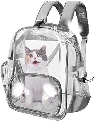 clear kitty backpack