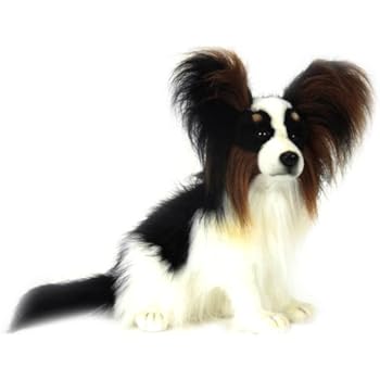Amazon.com: Webkinz Plush Stuffed Animal Papillon Dog: Toys & Games