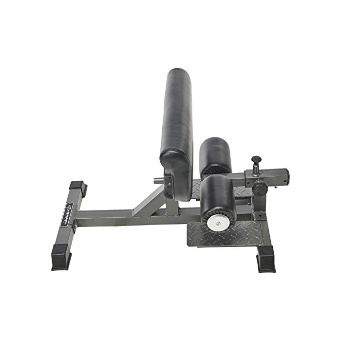 Element Fitness Sissy Squat Machine Superior Leg Extension Substitute