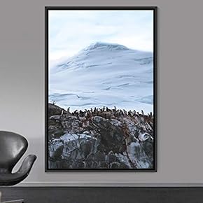 signwin Framed Canvas Wall Art Group of Birds...