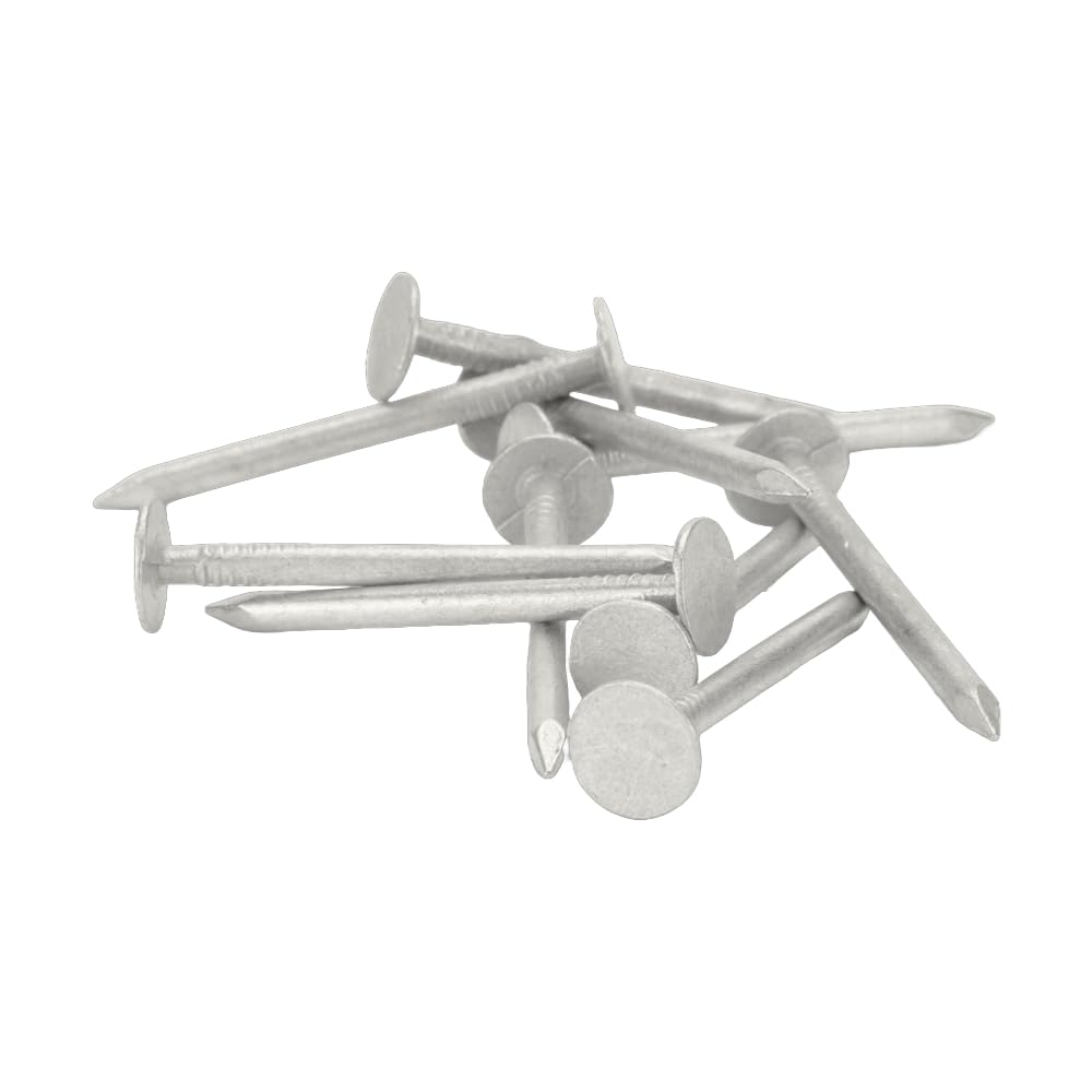 Galvanised Clout Nails Extra Large Head - 30mm (Pack of 100) — image 1