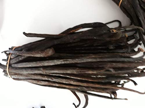 Sri Lankan Vanilla 10 Beans Pack. Grade A Beans (4 - 5 Inch) - Thumbnail 6