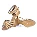 HROYL Women W7-W02 Satin Latin Dance Shoes