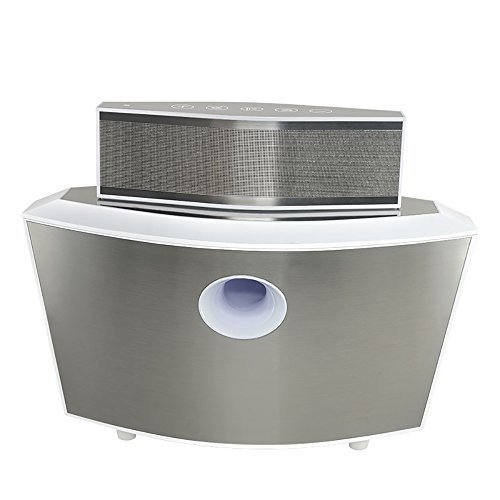 cowin ark wireless sound system