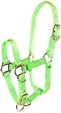 Hamilton Adjustable 3/4-Inch Miniature Nylon Horse Halter, Lime Green