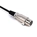 Yeworth 5ft/1.5m XLR to 6.35mm [1/4 inch] Audio Y Splitter Cable, 1 XLR Female to 2 Dual 6.35mm 1/4