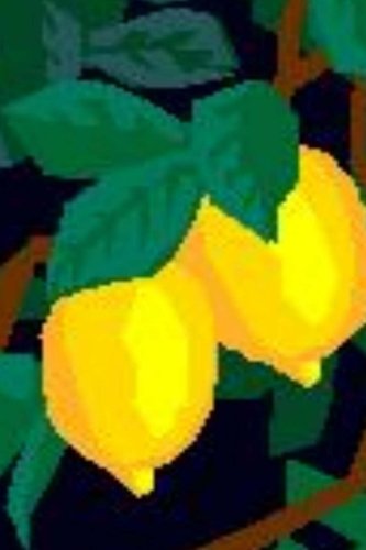 Journal: Lemons
