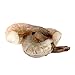 Sea Best 21/30 Count Jumbo Easy Peel Raw Shrimp, 3 Pound (Pack of 1)